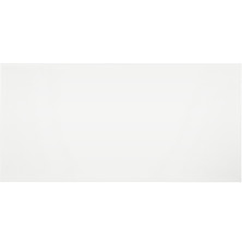 Seinälaatta Silja 20 x 40 cm white glossy