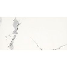 Seinälaatta Carrara Maxi rect 300 x 600 mm 
