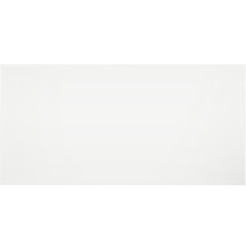 Seinälaatta Saana Dove 20 x 40 cm white glossy