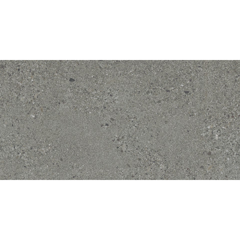 Lattialaatta Small Terrazzo grey 298X598 mm rect